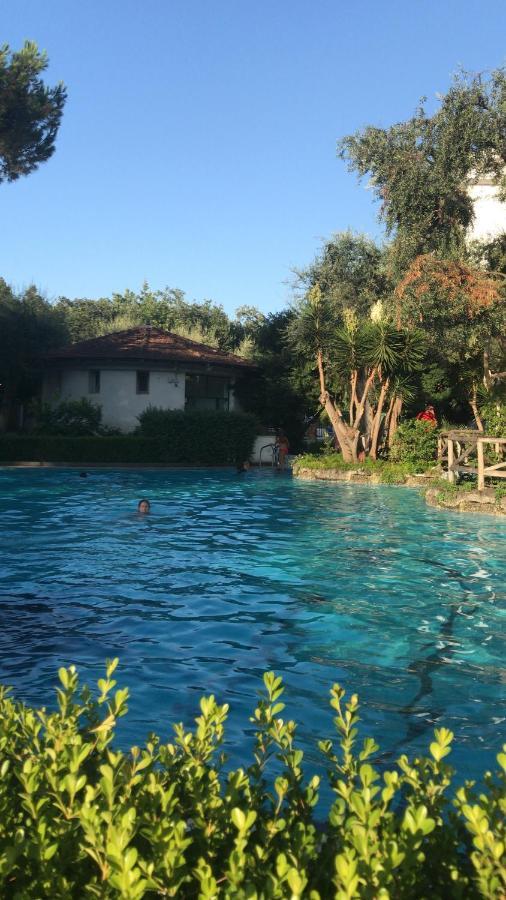 Hébergement de vacances E Flat Park And Pool